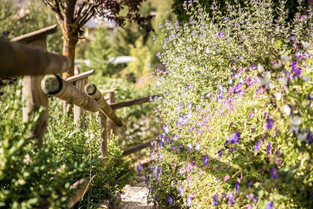 Belvedere Dolomites Flower Hotel Moena Exterior foto